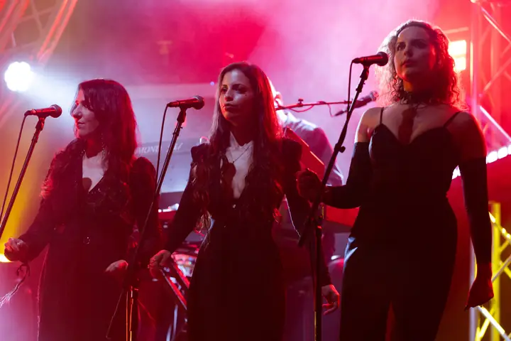Echoes live on stage, archive photo 34